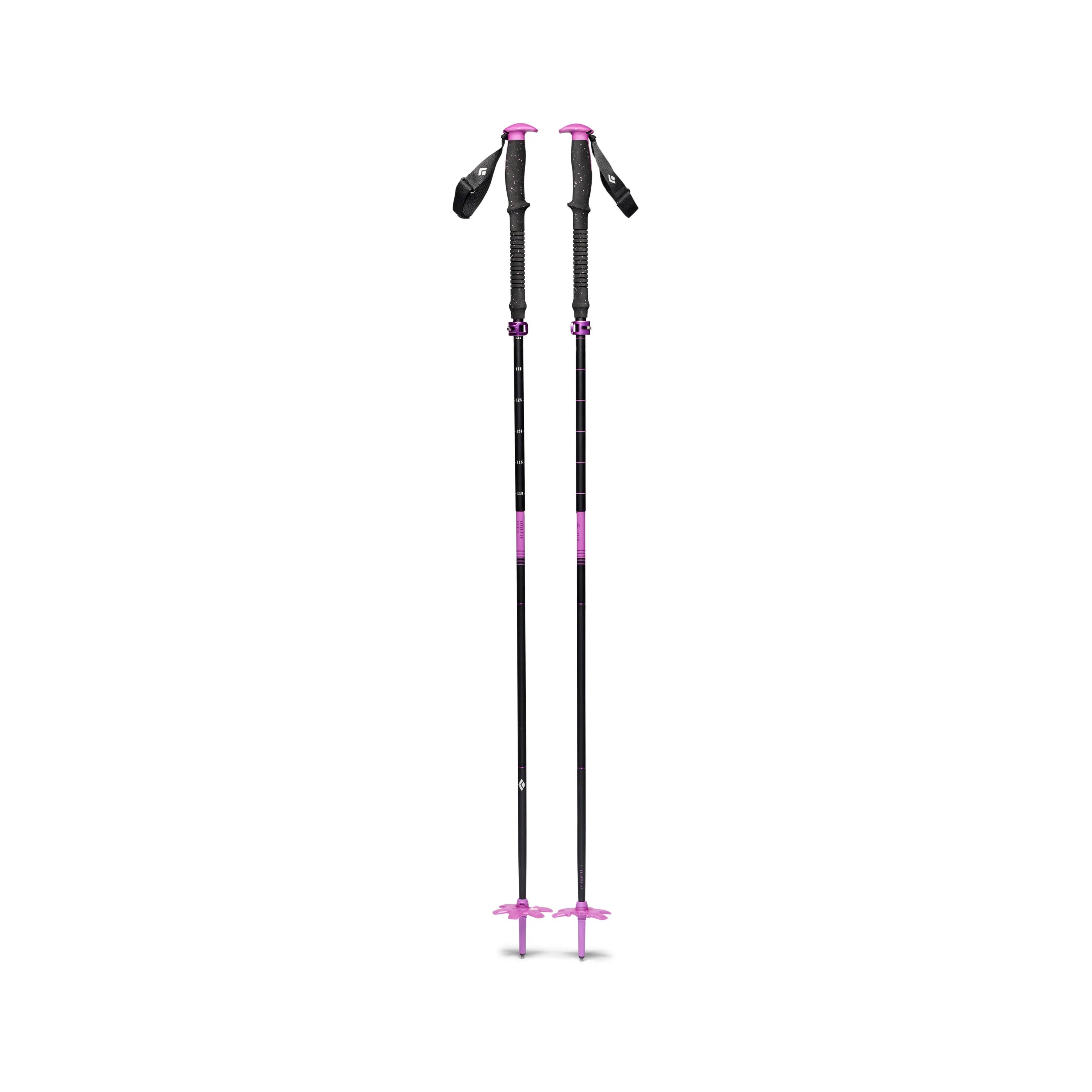 Piton Purple