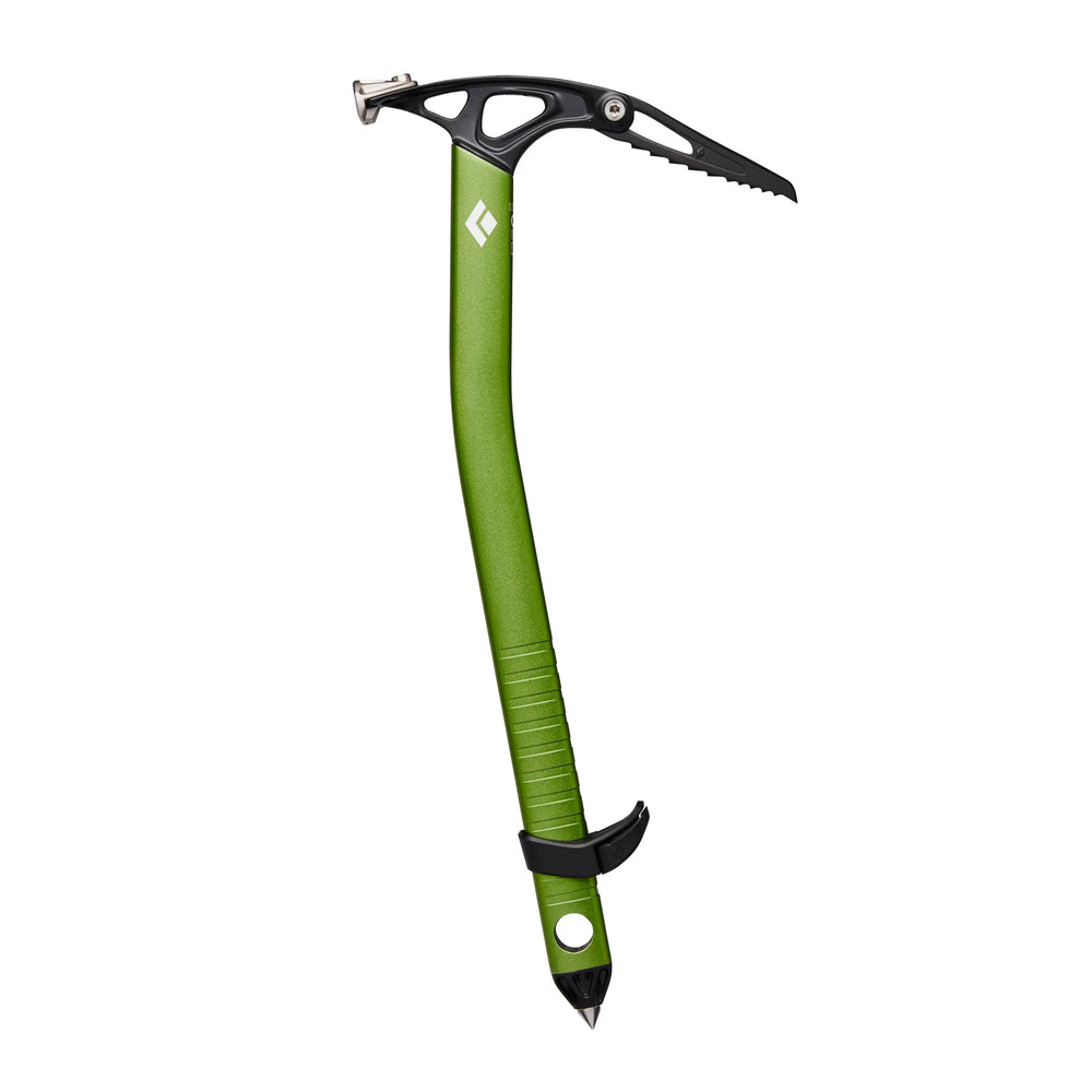 Envy Green