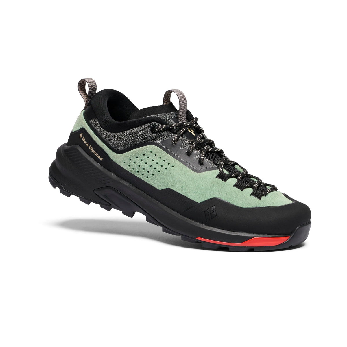 Desert Sage-Black