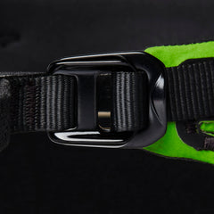 Envy Green