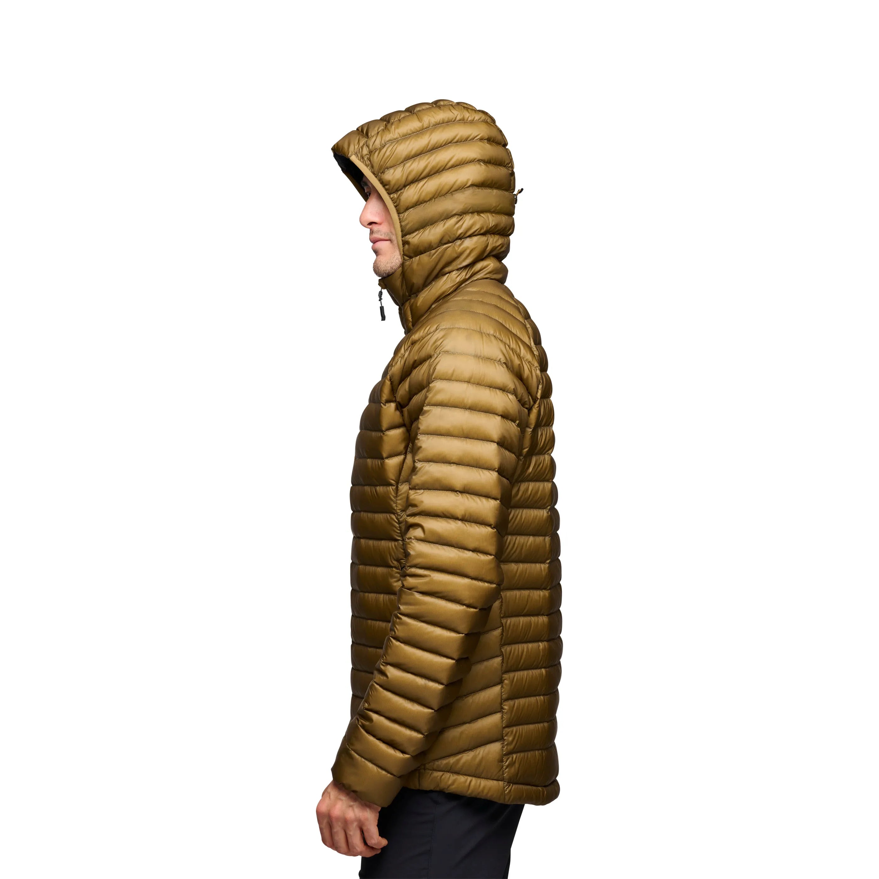 Rye
