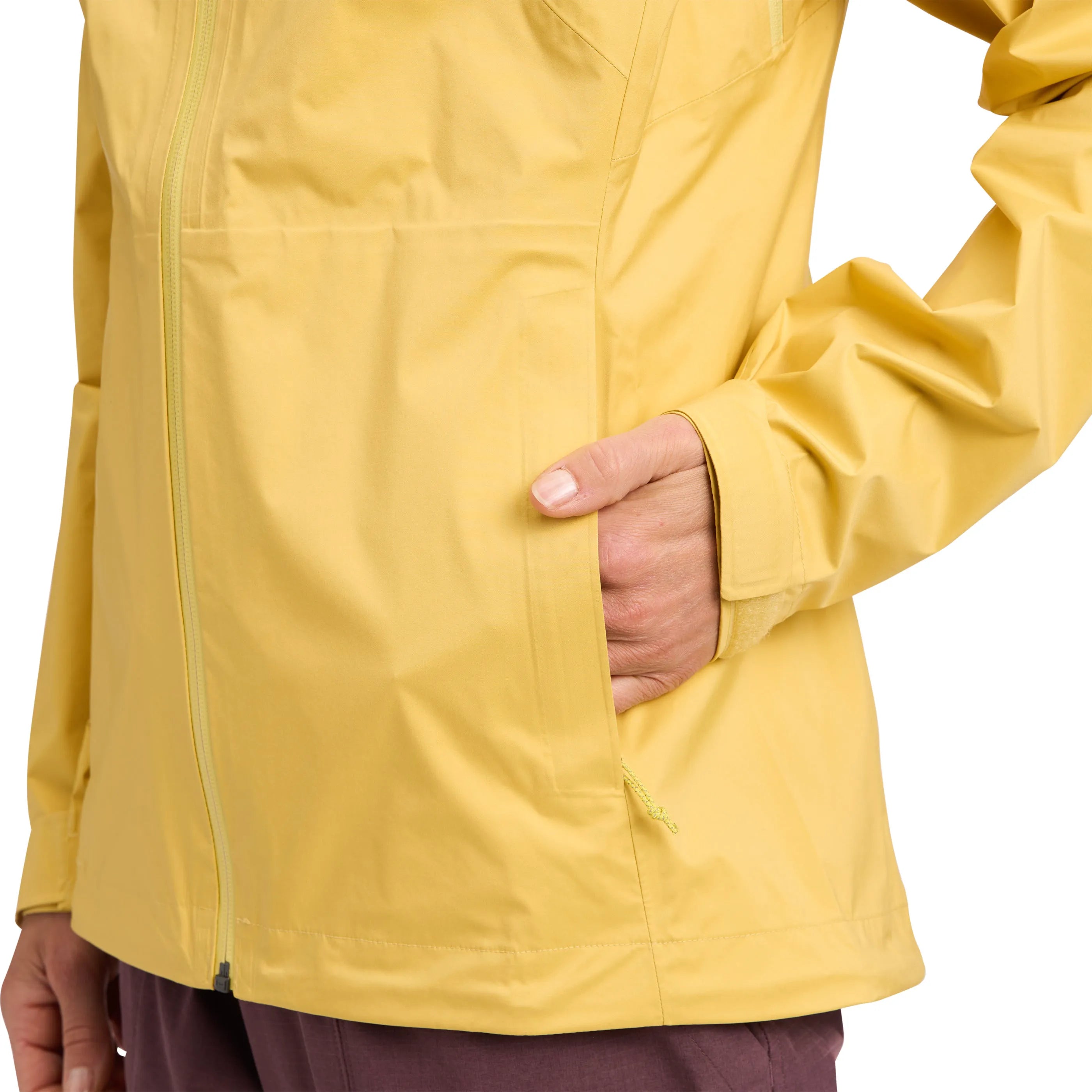 Agave
