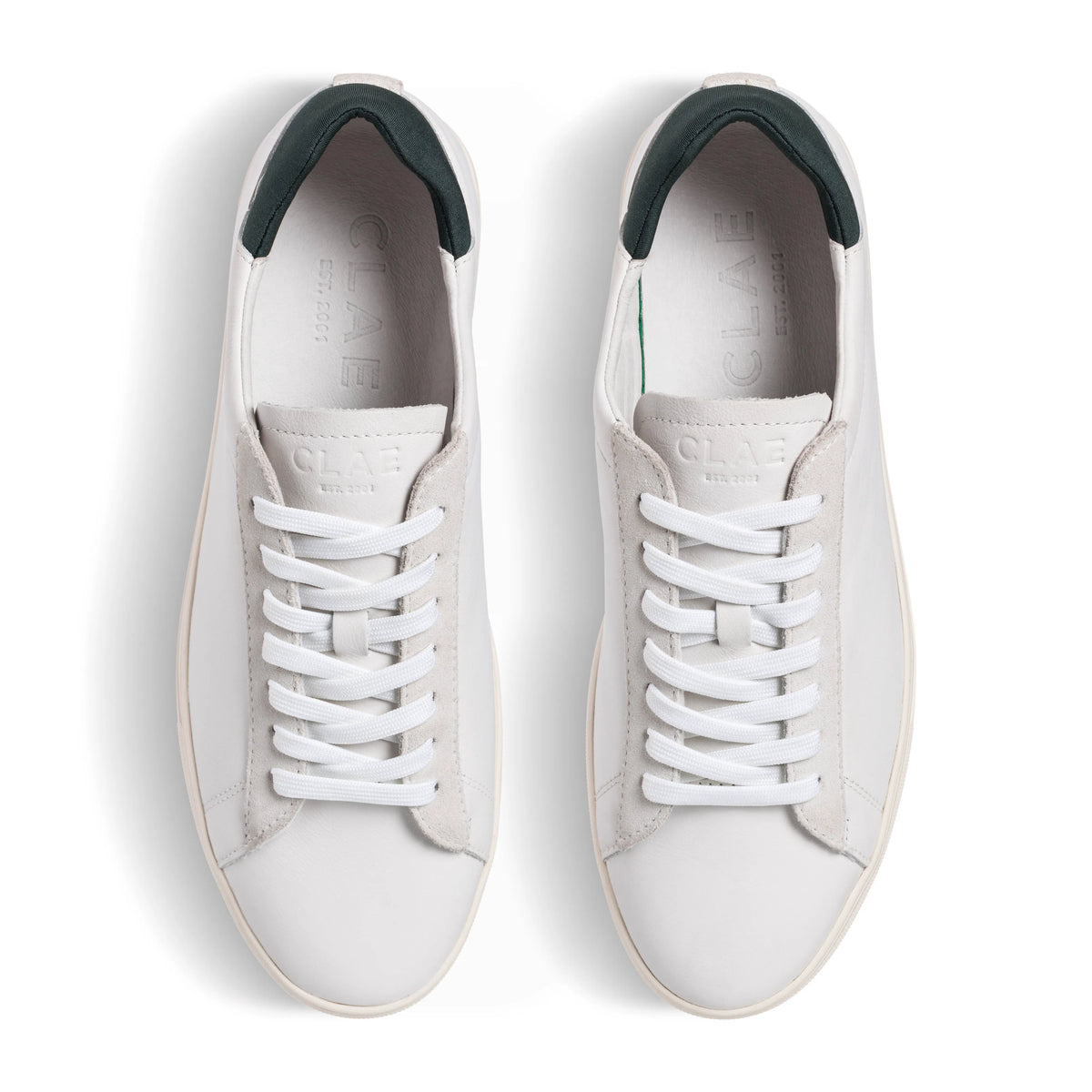 White Leather Dark Forest