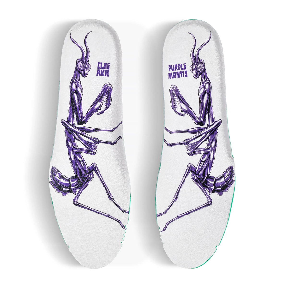 Purple Mantis